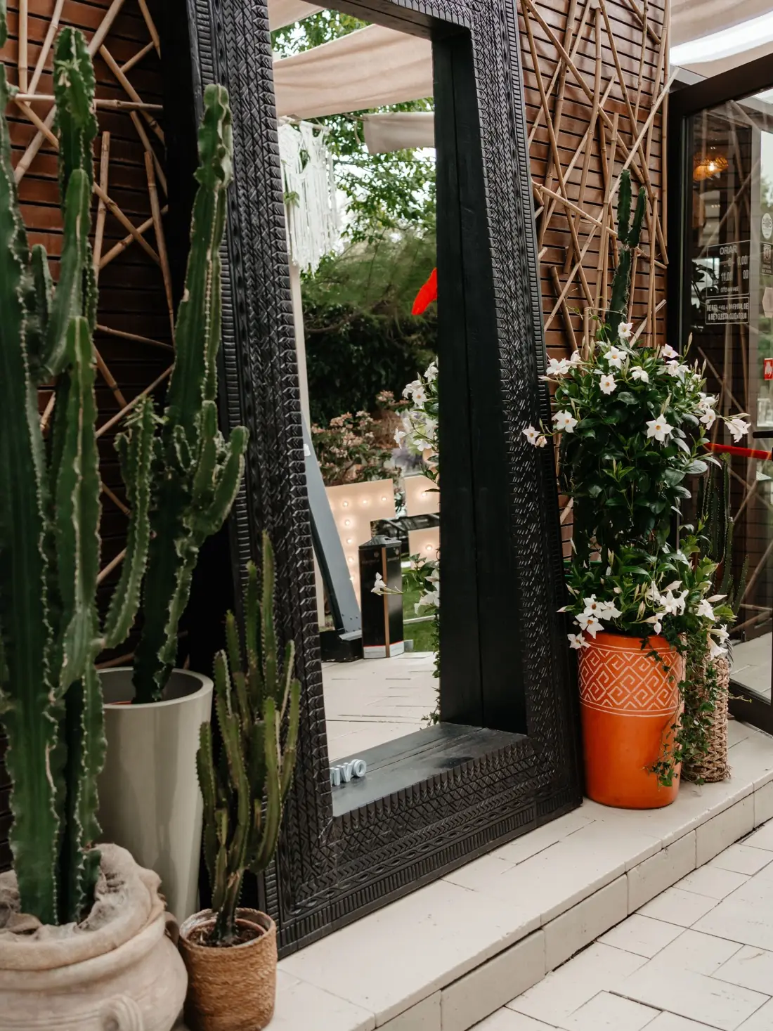 Intrarea in gradina RIVO Restaurant Oradea cu plante decorative